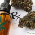 Marijuana Use and Colorado Workers’ Compensation