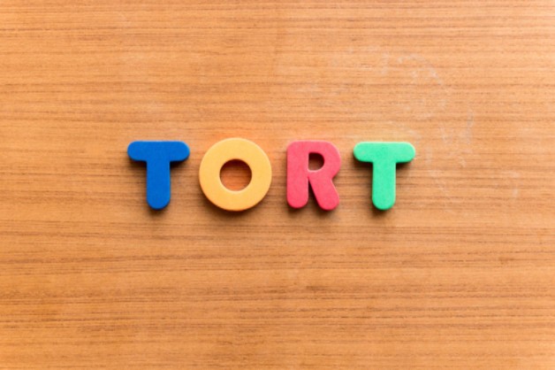 Understanding tort law